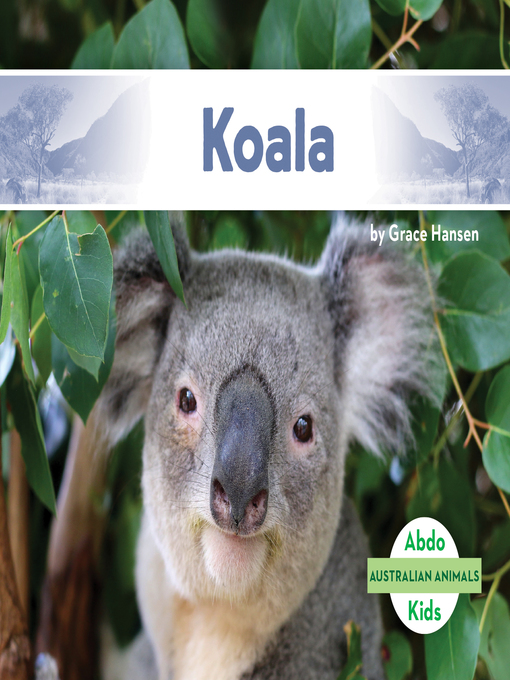 Title details for Koala  by Grace Hansen - Available